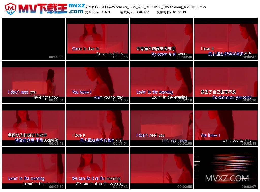 刘柏辛-Whenever_国语_流行_YEC00138